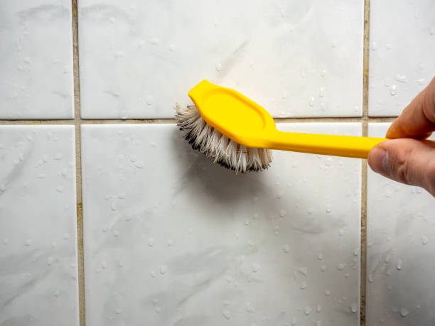 Trusted Bogart, GA Mold Remediation Experts