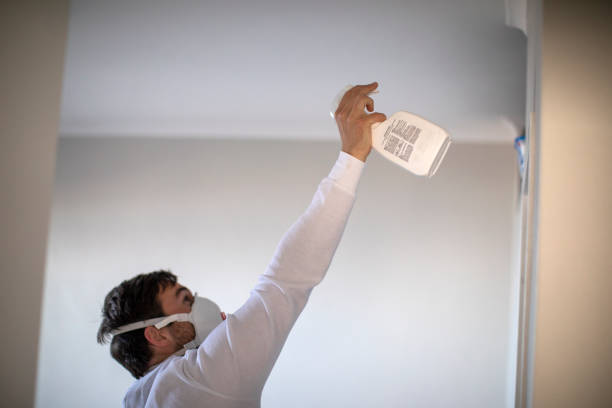Best HVAC Mold Remediation in Bort, GA