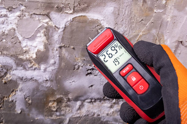 Best Residential Mold Remediation in Bort, GA