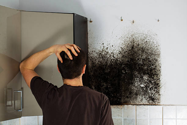Best HVAC Mold Remediation in Bort, GA