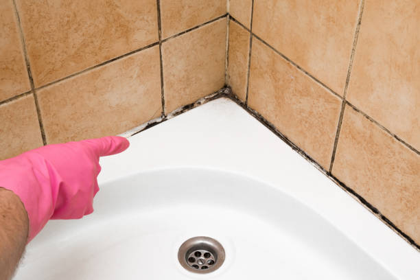 Best Residential Mold Remediation in Bort, GA